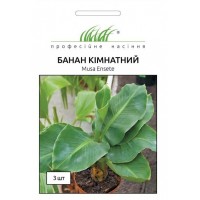 Семена Банан комнатный 3шт.